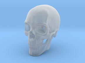 Human Skull 1:6 in Clear Ultra Fine Detail Plastic