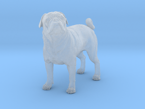 Pug 1:20 Standing Male in Clear Ultra Fine Detail Plastic
