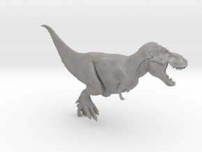 Tyrannosaurus Rex 2023 - 1/72 in Accura Xtreme