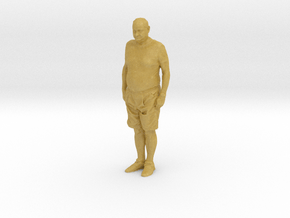 Printle OS Homme 395 P - 1/87 in Tan Fine Detail Plastic