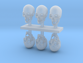 1:9 scale Skulls in Clear Ultra Fine Detail Plastic