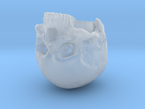 SL01-Head-01b in Clear Ultra Fine Detail Plastic