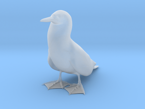 Blue-Footed Booby in Clear Ultra Fine Detail Plastic