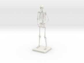 10" Desktop Skeleton in White Natural Versatile Plastic