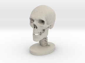 1/4 Scale Human Skull in Natural Sandstone