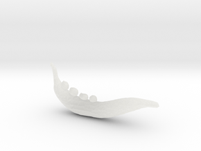 Archipelis Designer Model in Clear Ultra Fine Detail Plastic