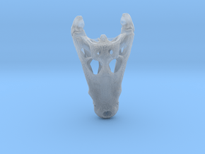Jacaré Alligator skull - 64 mm in Clear Ultra Fine Detail Plastic