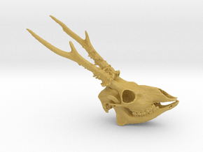 Roe Deer Skull - 110mm in Tan Fine Detail Plastic