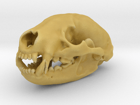 BADGER Skull Pendant in Tan Fine Detail Plastic