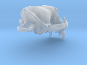 Cougar skull pendant in Clear Ultra Fine Detail Plastic