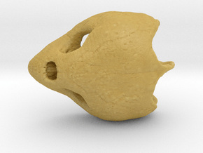 Loggerhead Sea Turtle Skull in Tan Fine Detail Plastic