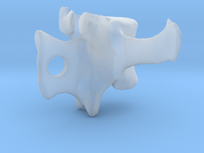 Vertebra #8 25mm with 3mm Hole  in Clear Ultra Fine Detail Plastic