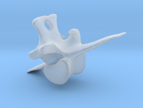 Vertebra #8 40mm with 4mm Hole  in Clear Ultra Fine Detail Plastic