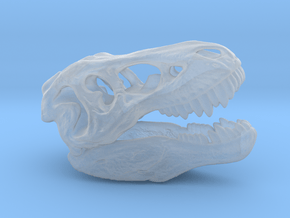 Tyrannosaurus rex skull - 40mm in Clear Ultra Fine Detail Plastic