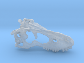 Tarbosaurus Skull 30mm in Clear Ultra Fine Detail Plastic