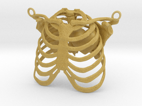 Ribcage With Stylized Heart Pendant in Tan Fine Detail Plastic