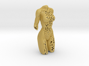 Female torso sculpture in Tan Fine Detail Plastic