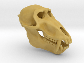 Baboon Skull pendant (closed jaw version) in Tan Fine Detail Plastic