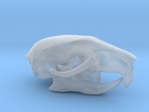Rat skull pendant  in Clear Ultra Fine Detail Plastic