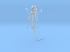 Bearded Dragon Skeleton - 4 Inches in Clear Ultra Fine Detail Plastic