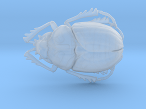 Scarab Beetle in Clear Ultra Fine Detail Plastic