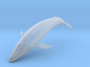 Blue Whale middle size (color) in Clear Ultra Fine Detail Plastic