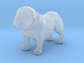 Bull Dog mini size (color) in Clear Ultra Fine Detail Plastic