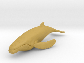 humpback whale middle size (color) in Tan Fine Detail Plastic