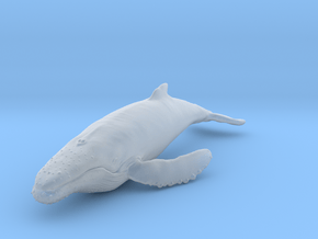 humpback whale middle size (color) in Clear Ultra Fine Detail Plastic