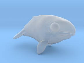 Breedingkit Gray Whale in Clear Ultra Fine Detail Plastic