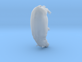 Hippopotamus 1:48 Walking Female in Clear Ultra Fine Detail Plastic