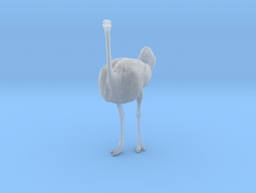 Ostrich 1:25 Standing Calm in Clear Ultra Fine Detail Plastic