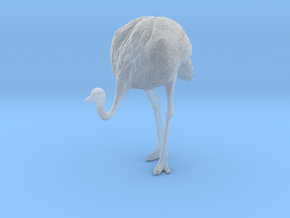 Ostrich 1:25 Head Down in Clear Ultra Fine Detail Plastic