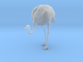 Ostrich 1:35 Head Down in Clear Ultra Fine Detail Plastic
