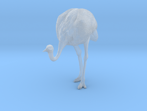 Ostrich 1:48 Head Down in Clear Ultra Fine Detail Plastic