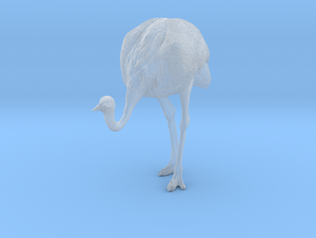 Ostrich 1:45 Head Down in Clear Ultra Fine Detail Plastic