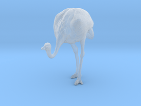 Ostrich 1:64 Head Down in Clear Ultra Fine Detail Plastic