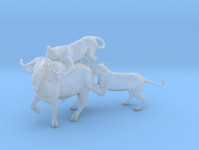 Cape Buffalo 1:64 Attacked by Lions in Clear Ultra Fine Detail Plastic