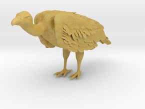 White-Backed Vulture 1:6 Standing 1 in Tan Fine Detail Plastic