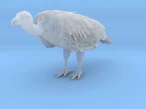 White-Backed Vulture 1:6 Standing 1 in Clear Ultra Fine Detail Plastic