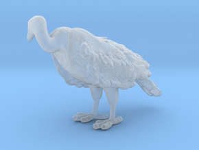 White-Backed Vulture 1:32 Standing 2 in Clear Ultra Fine Detail Plastic