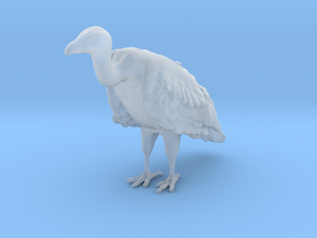 White-Backed Vulture 1:20 Standing 3 in Clear Ultra Fine Detail Plastic
