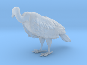 White-Backed Vulture 1:24 Standing 2 in Clear Ultra Fine Detail Plastic