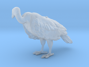 White-Backed Vulture 1:25 Standing 2 in Clear Ultra Fine Detail Plastic