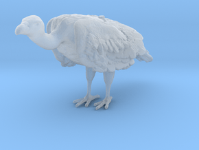 White-Backed Vulture 1:16 Standing 1 in Clear Ultra Fine Detail Plastic