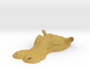 Hippopotamus 1:6 Lying in Water 5 in Tan Fine Detail Plastic