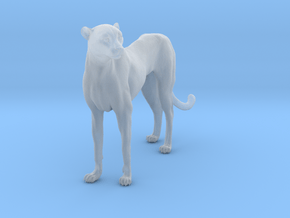 Cheetah 1:6 Standing Female in Clear Ultra Fine Detail Plastic