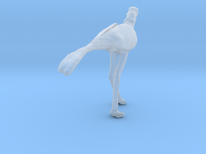 Secretarybird 1:64 Walking in Clear Ultra Fine Detail Plastic