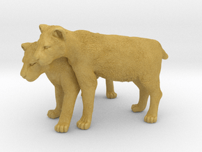 Lion 1:12 Cubs distracted while playing in Tan Fine Detail Plastic