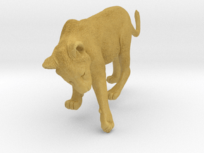 Lion 1:6 Cub reaching for something in Tan Fine Detail Plastic